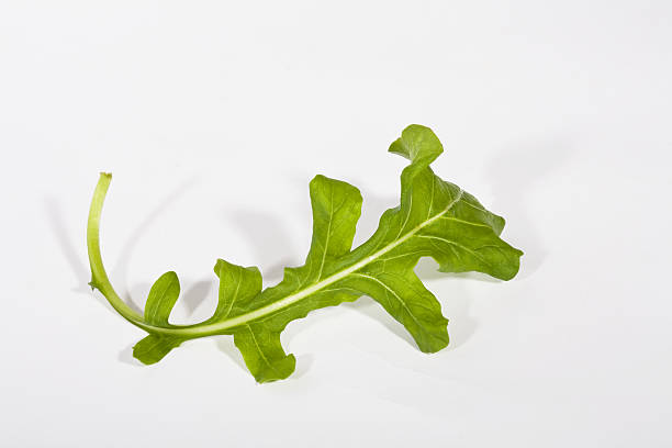 How Nitrate-Rich Greens Boost Blood Flow to the Brain