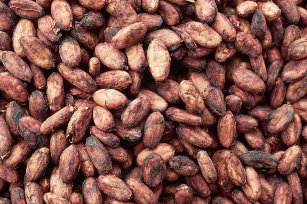 The Power of Cacao: A Superfood for Your Sweet Tooth and Your Health