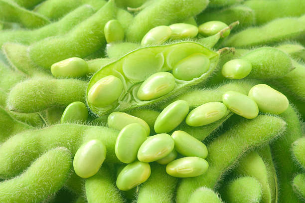 Edamame: The Complete Protein Snack
