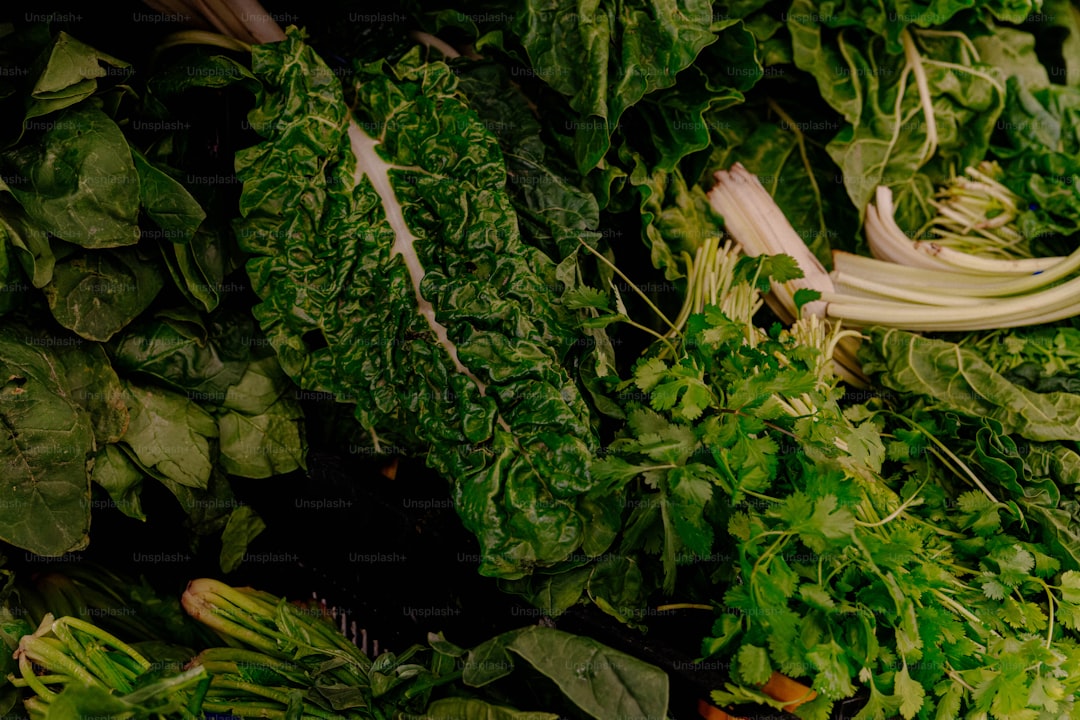 The Myth of the “Miracle” Superfood: Why Variety Beats Any Single Ingredient