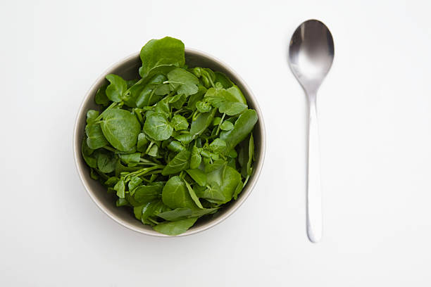 How Nitrate-Rich Greens Boost Blood Flow to the Brain